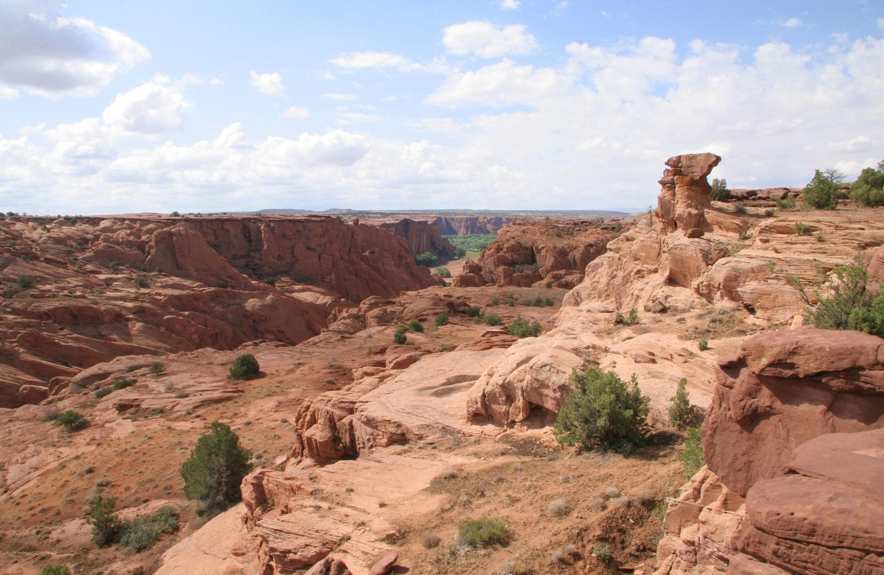 The waves of red sandstone seen from the canyon rim