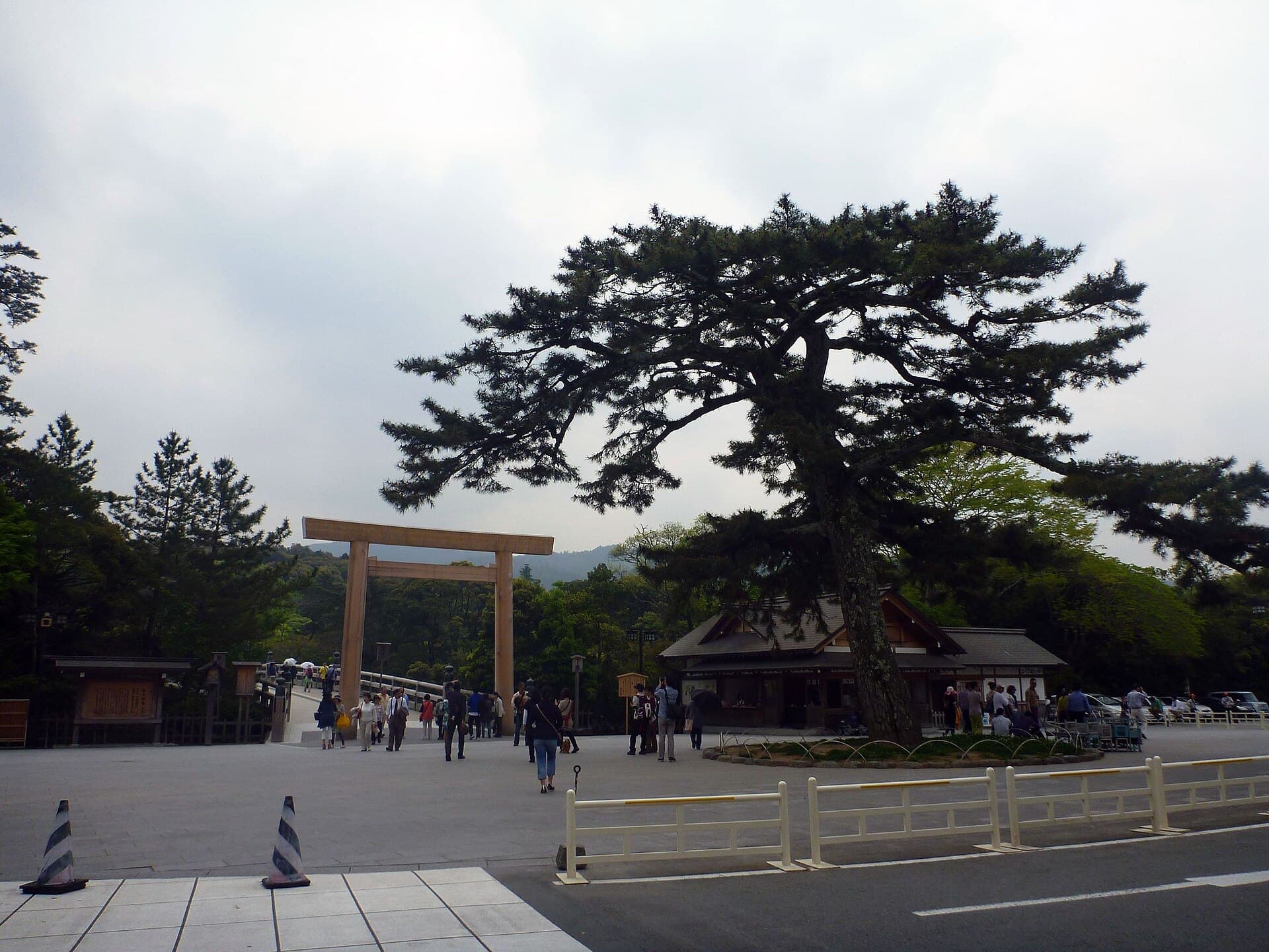 The shrine encircled by cedars