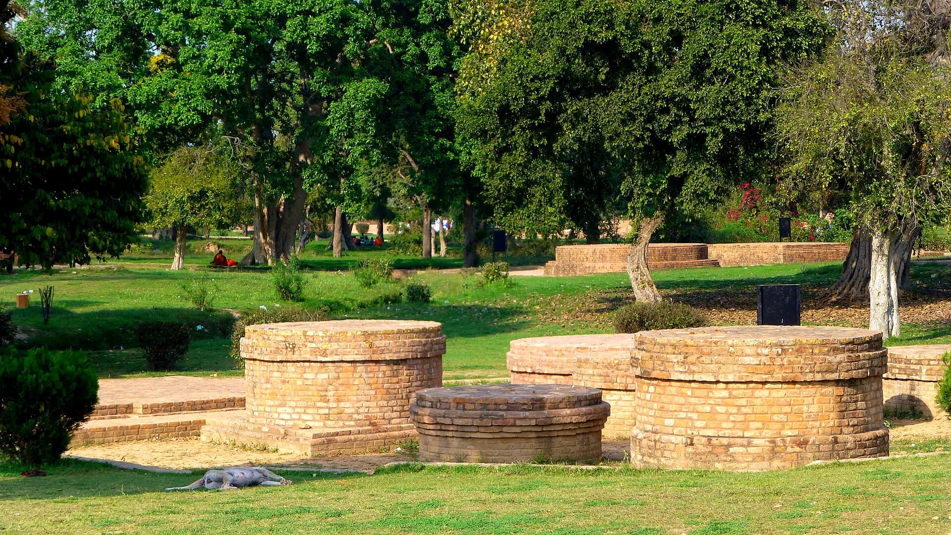 The ruins of Jetavana monastery at Sravasti