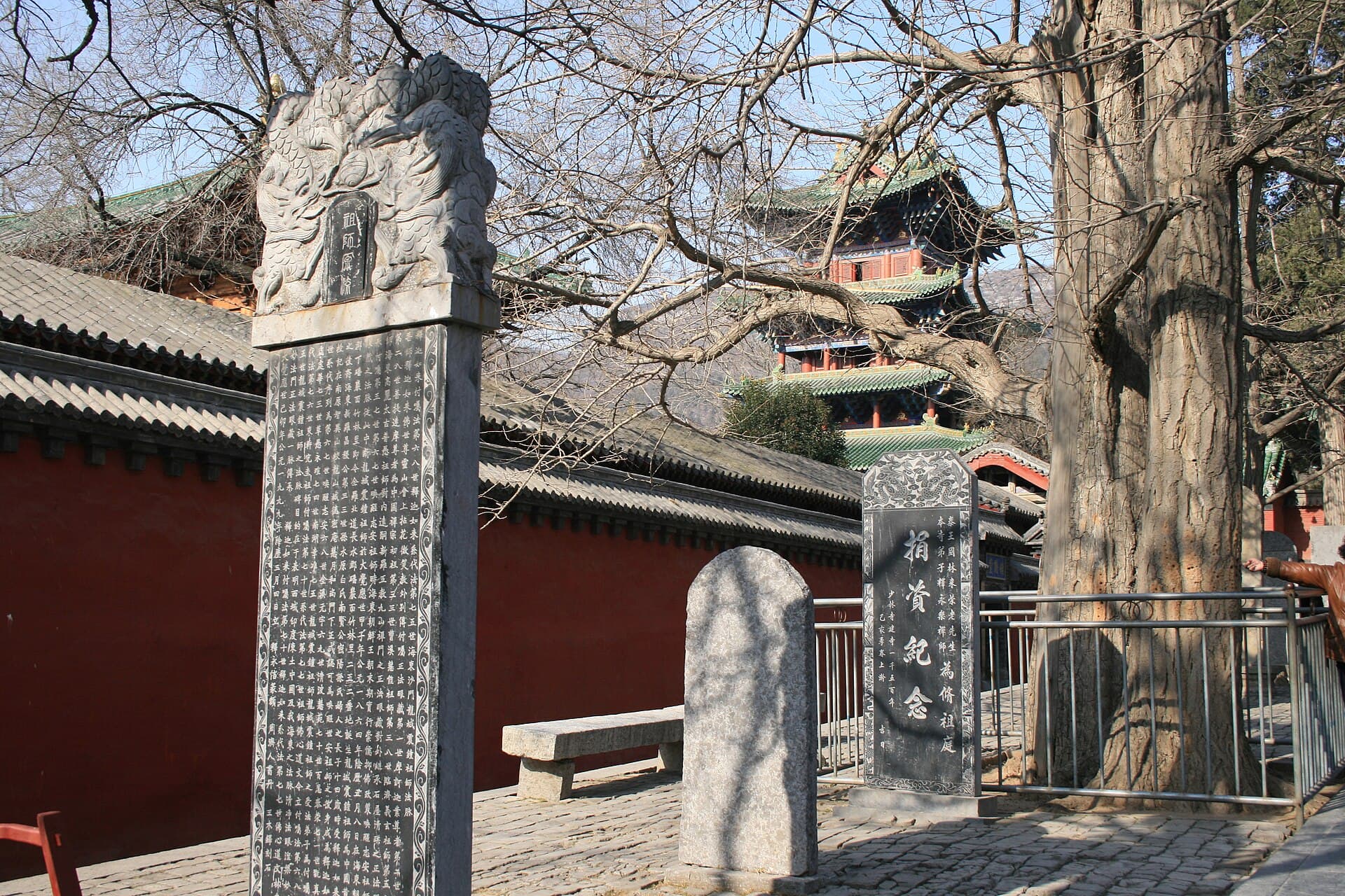 The Forest of Steles at Shaolin Temple