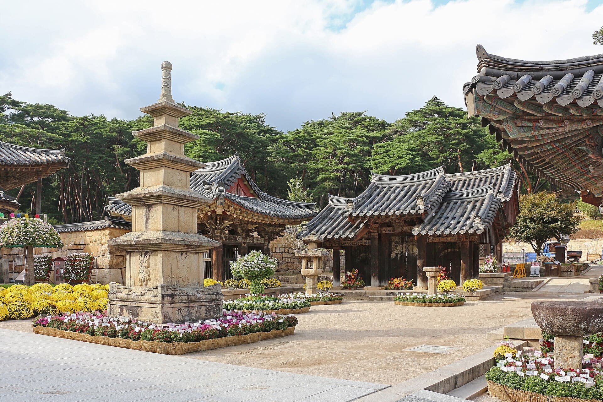 The courtyard of Tongdosa with a stone pagoda, chrysanthemums, and pine forest