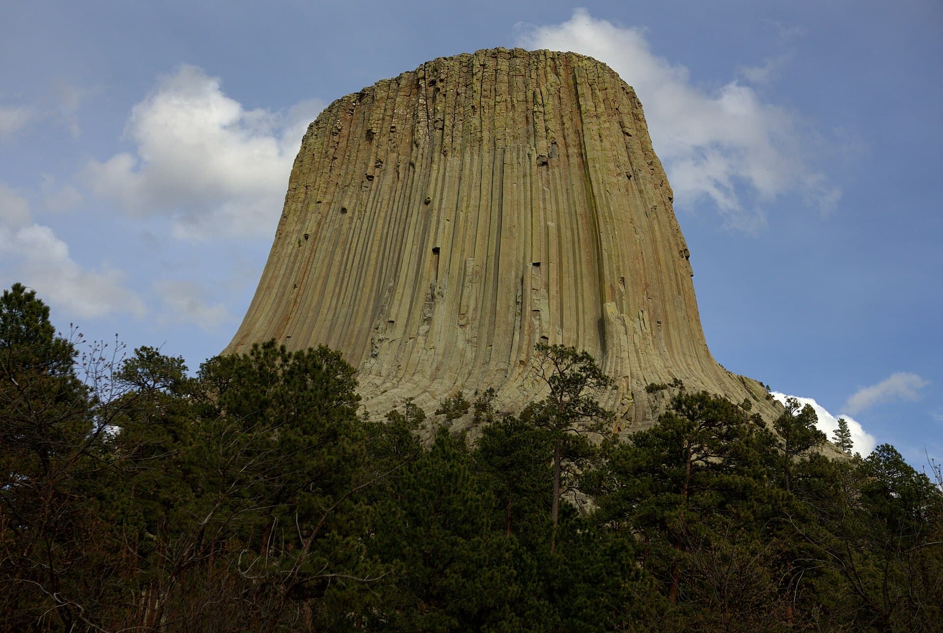 Devils Tower rising straight above a pine forest under a blue sky