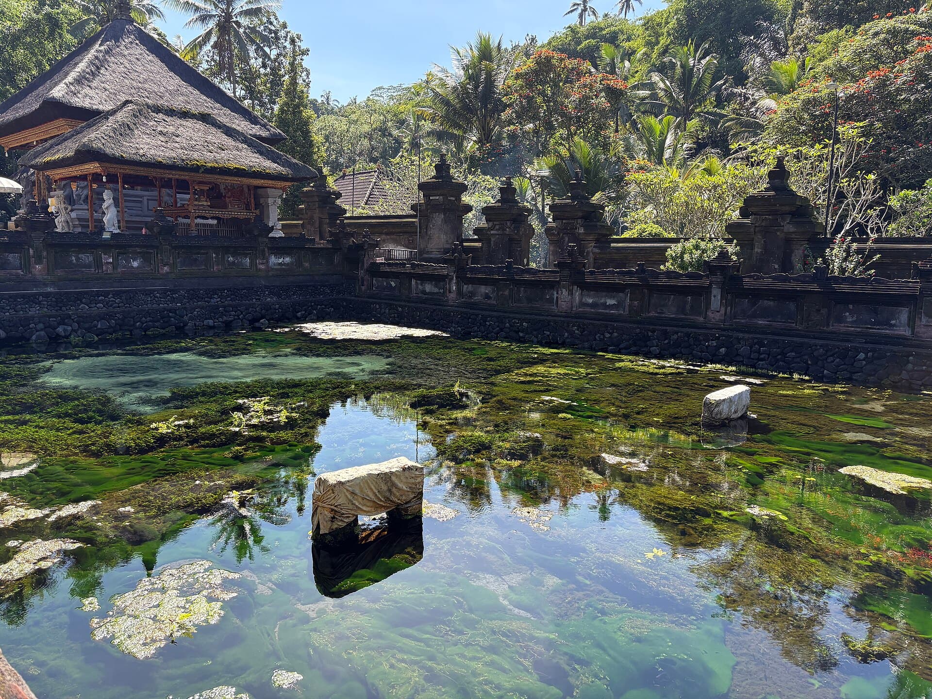 Clear water rising in the sacred spring pool of Tirta Empul