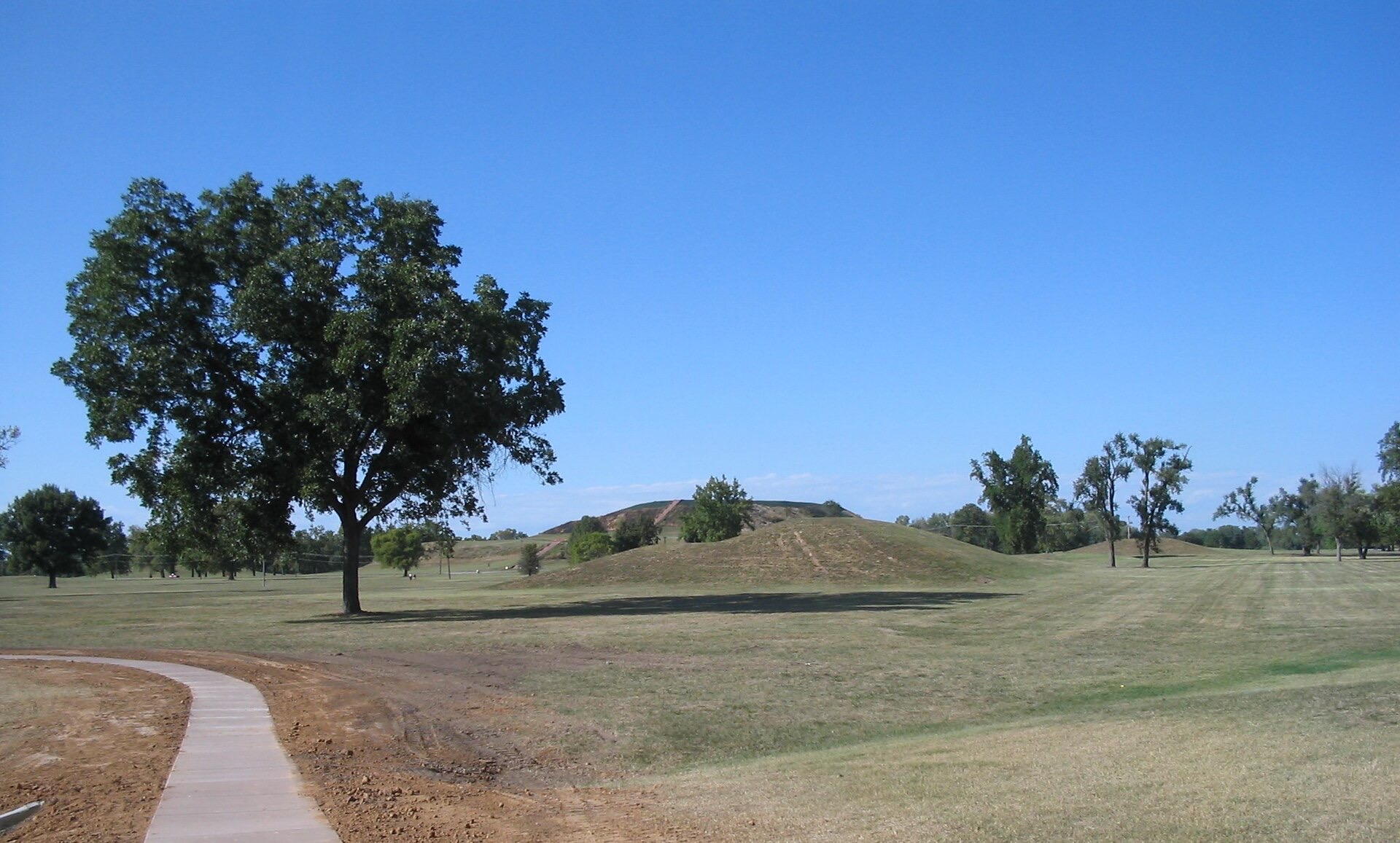 Monks Mound seen beyond a great tree and a path across the grass