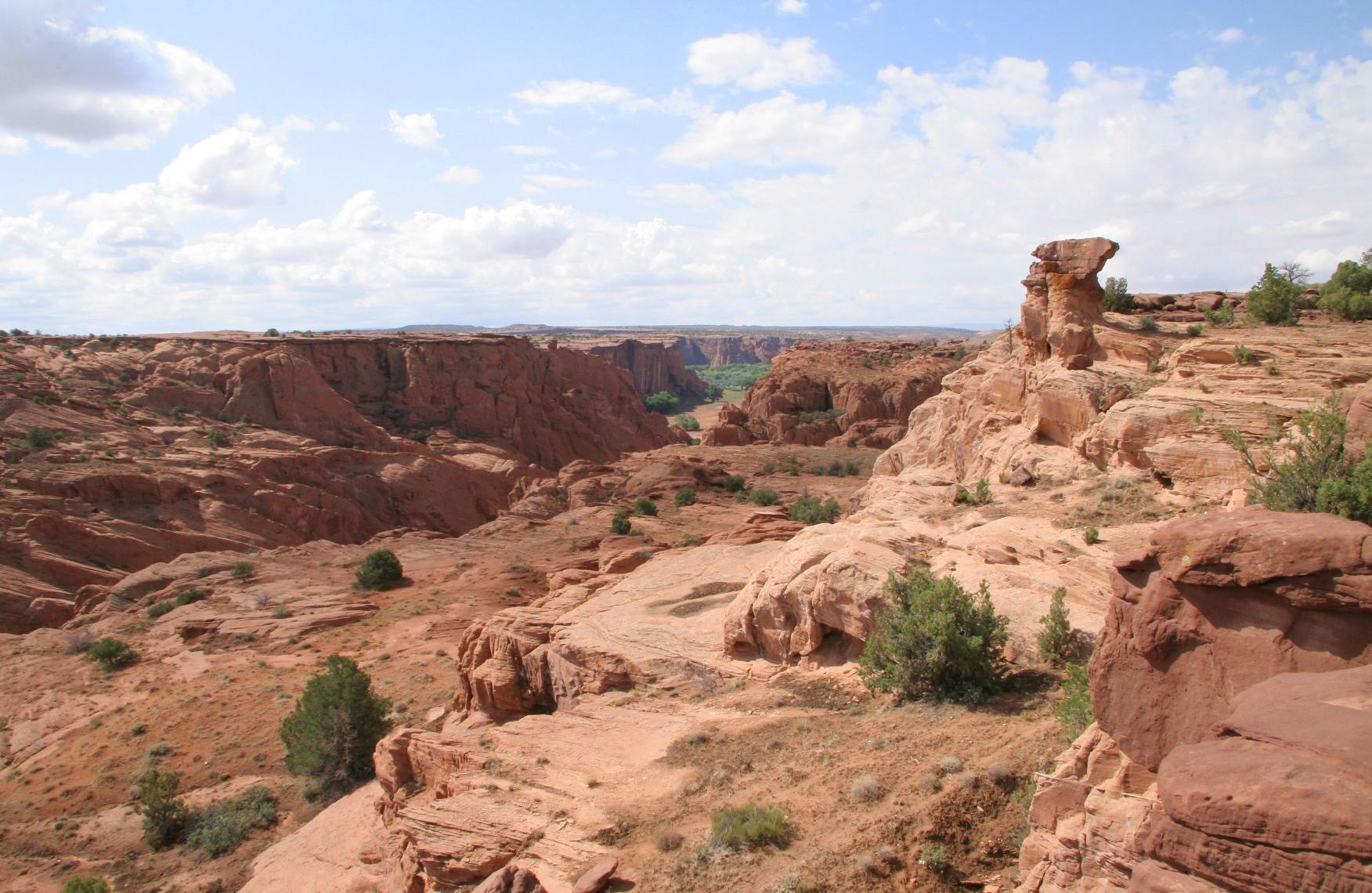 The waves of red sandstone seen from the canyon rim