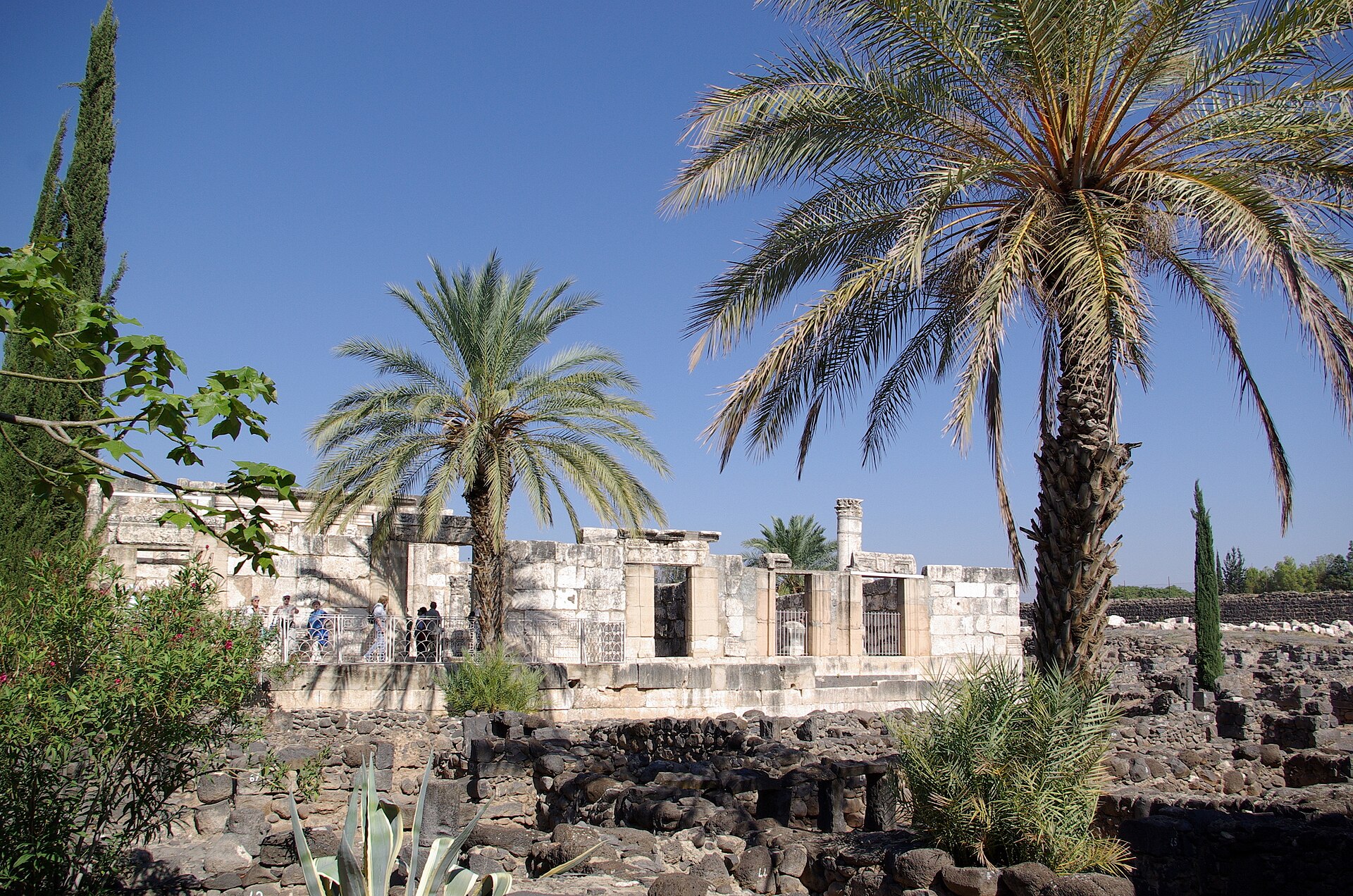 Basalt village ruins and the synagogue beneath palm trees