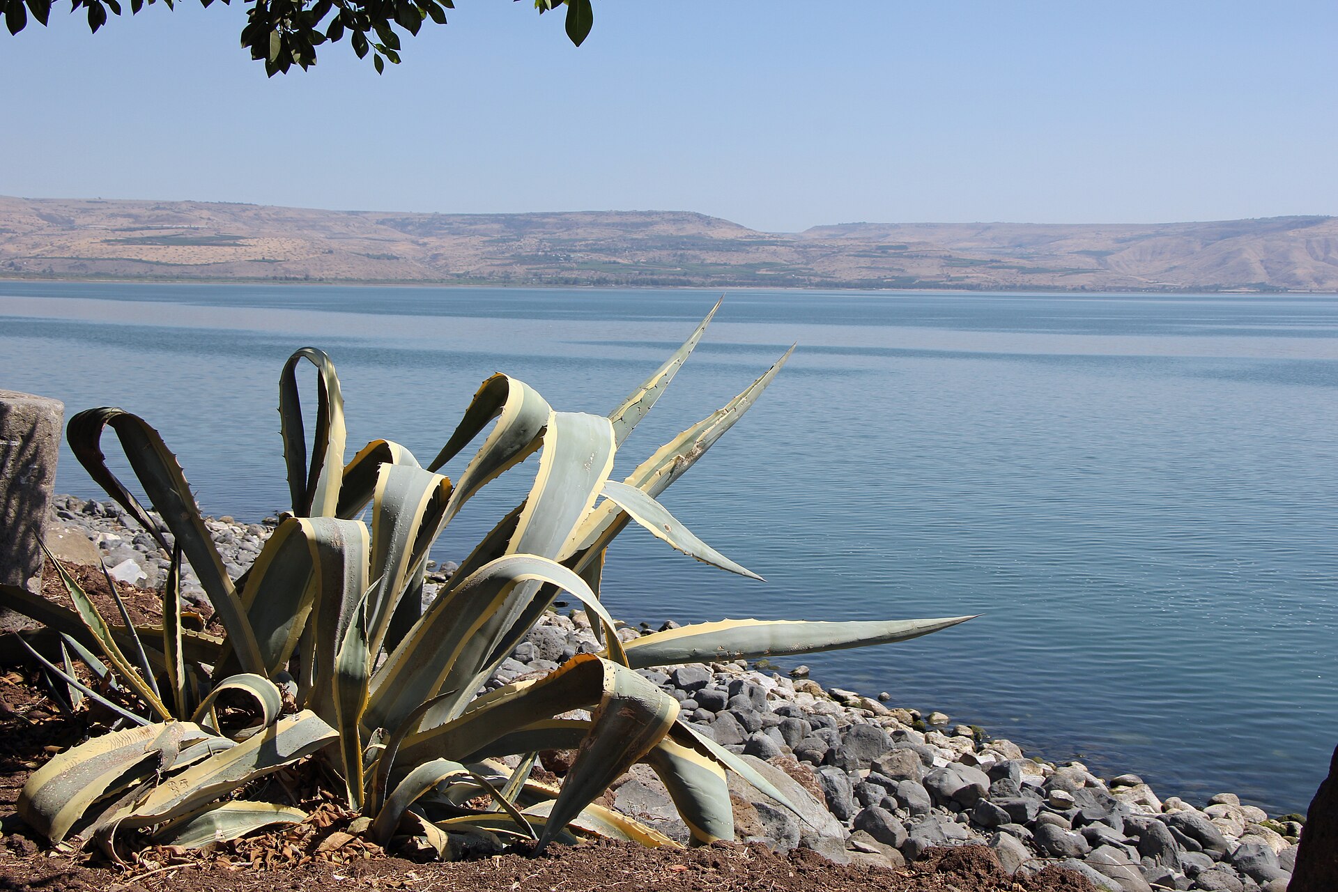 The Sea of Galilee seen from the shore at Capernaum