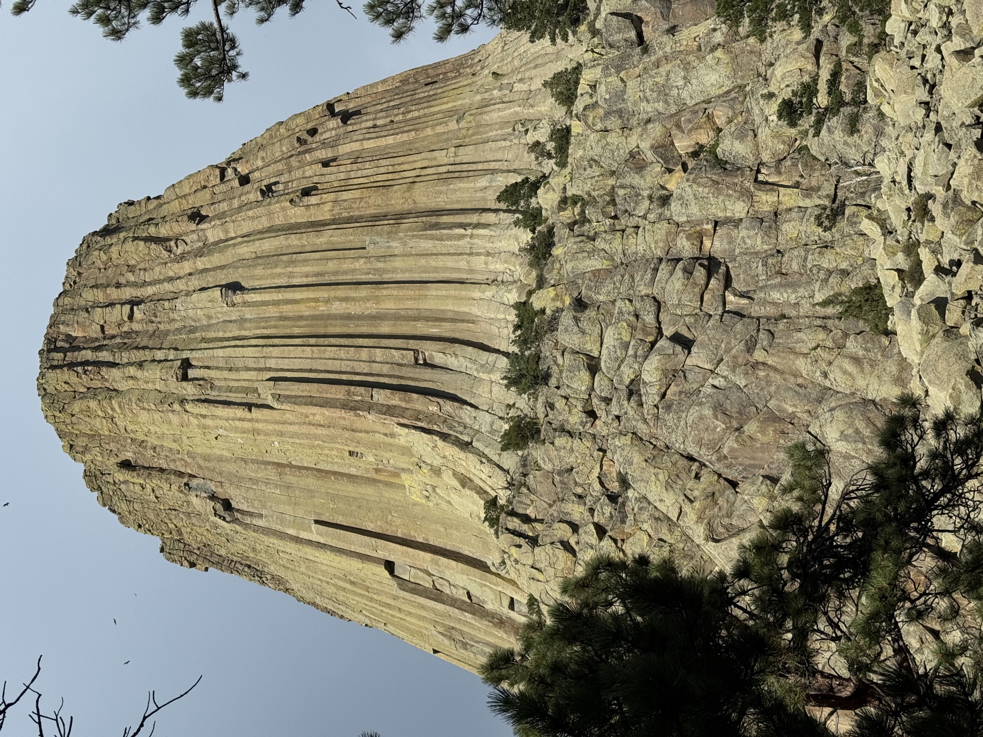 Looking up at the fluted columns of Devils Tower soaring into the sky