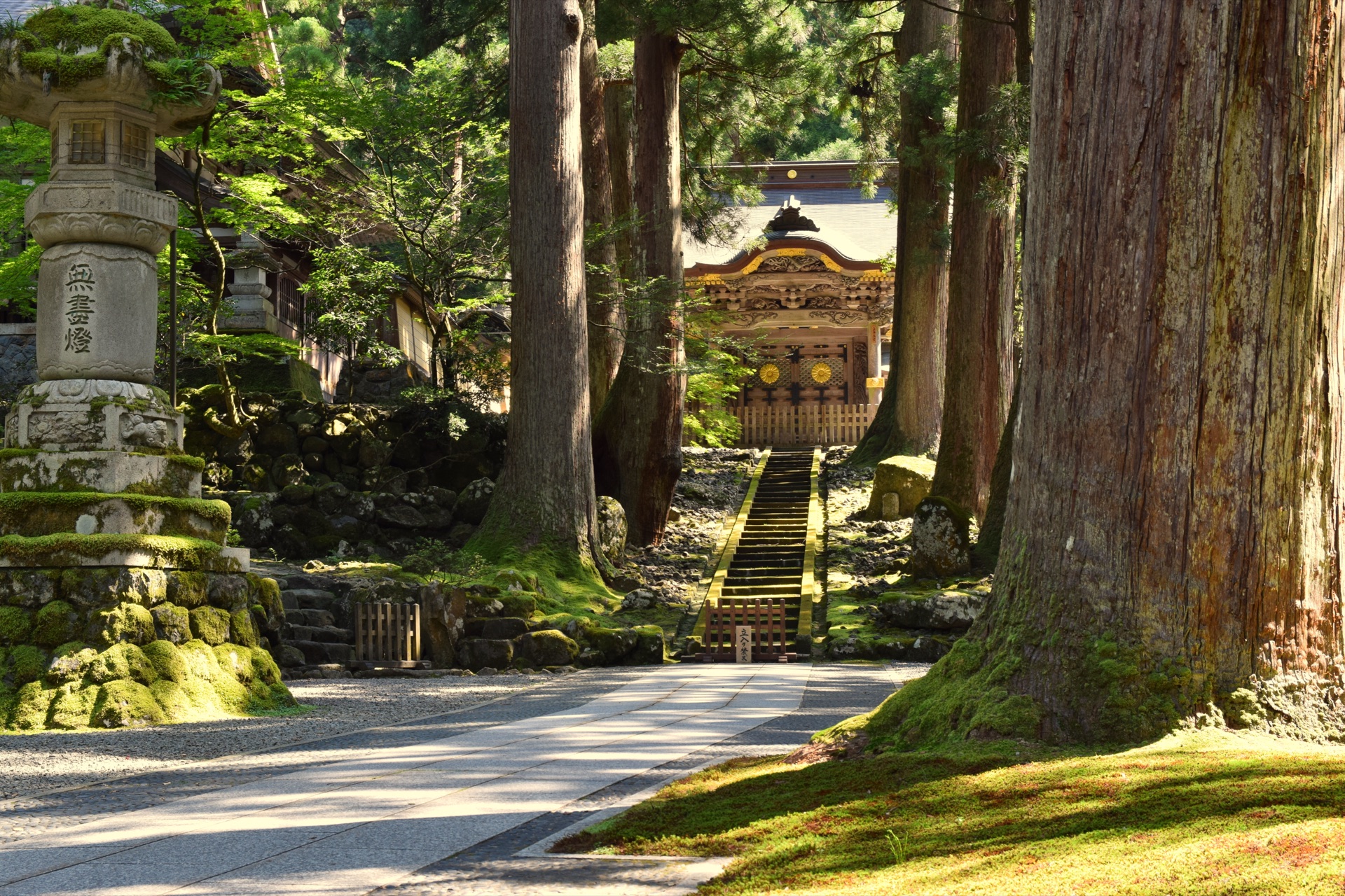 The approach to the Imperial Gate of Eihei-ji between towering cedars