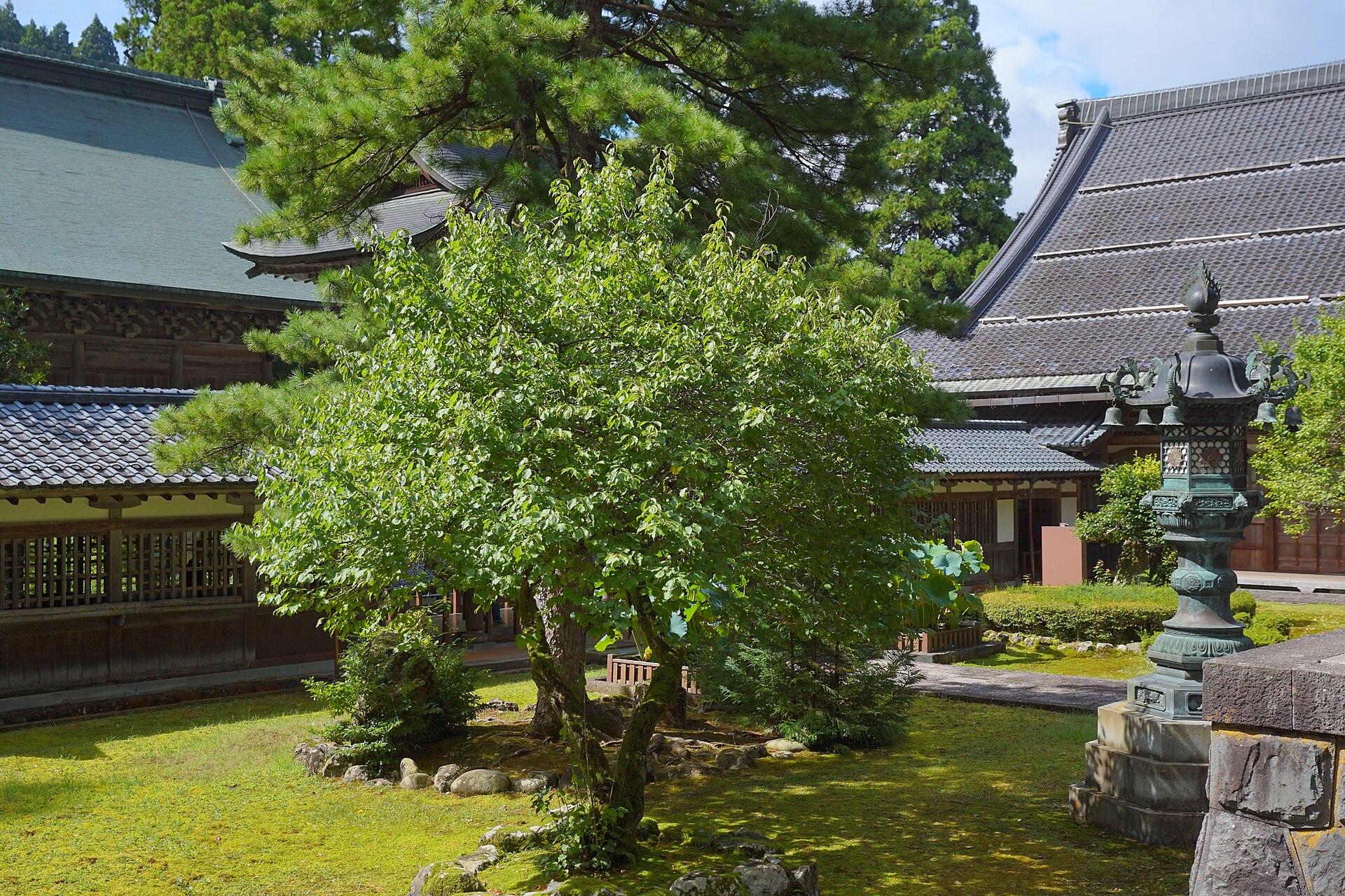 Eihei-ji, mountain monastery of practice