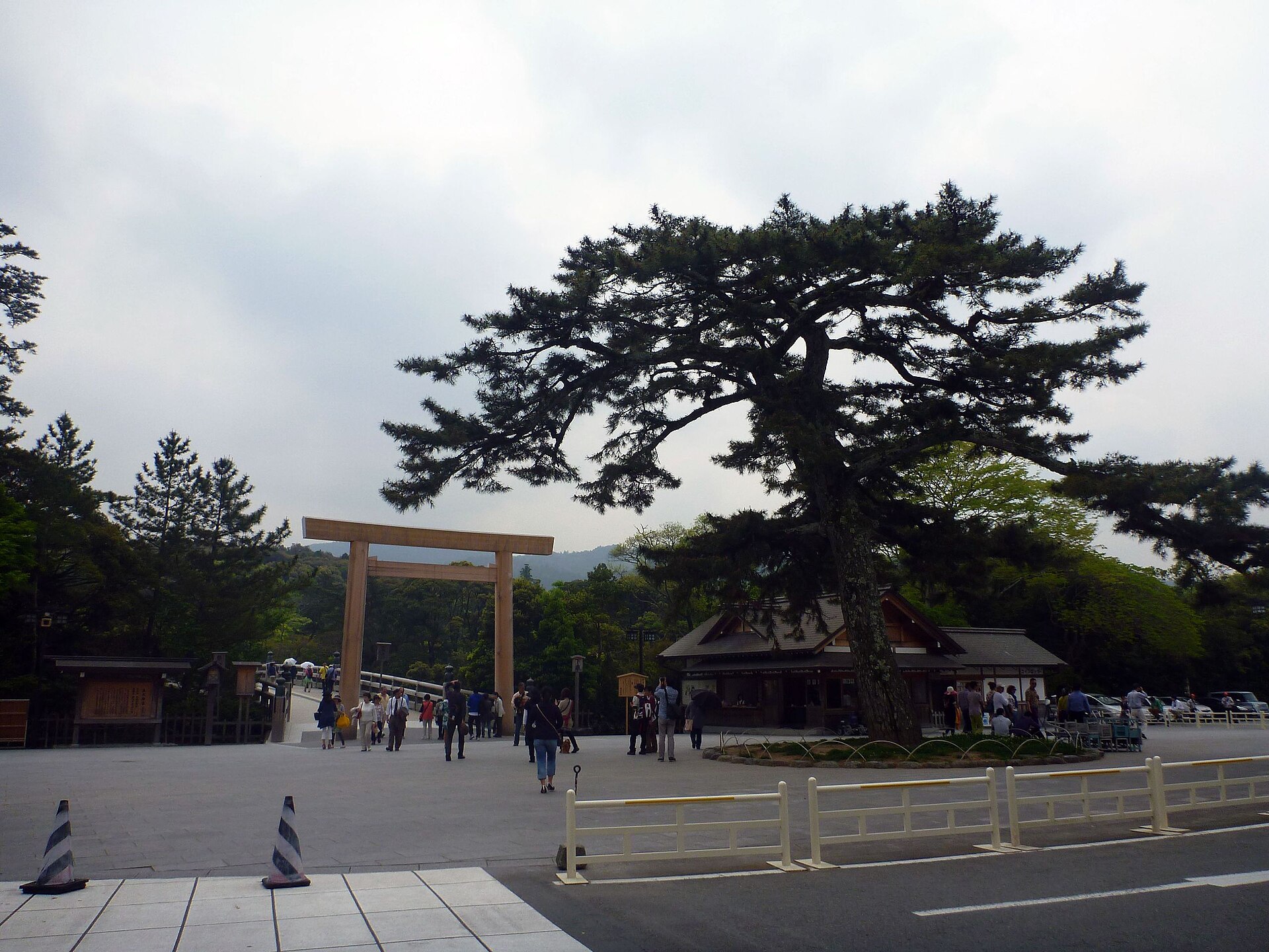 The shrine encircled by cedars
