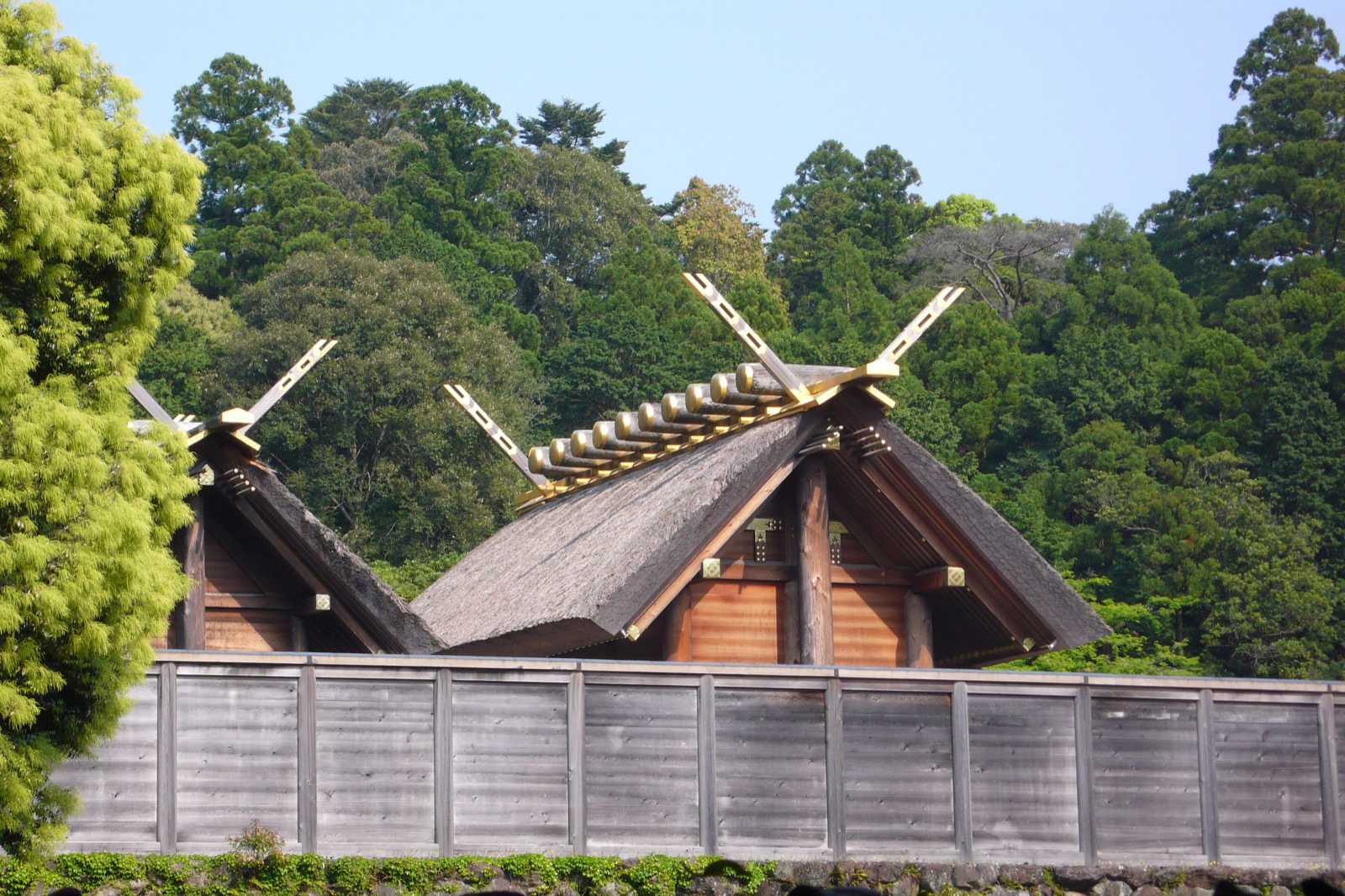 The Inner Shrine (Naiku) of Ise Jingu, surrounded by cedar forest