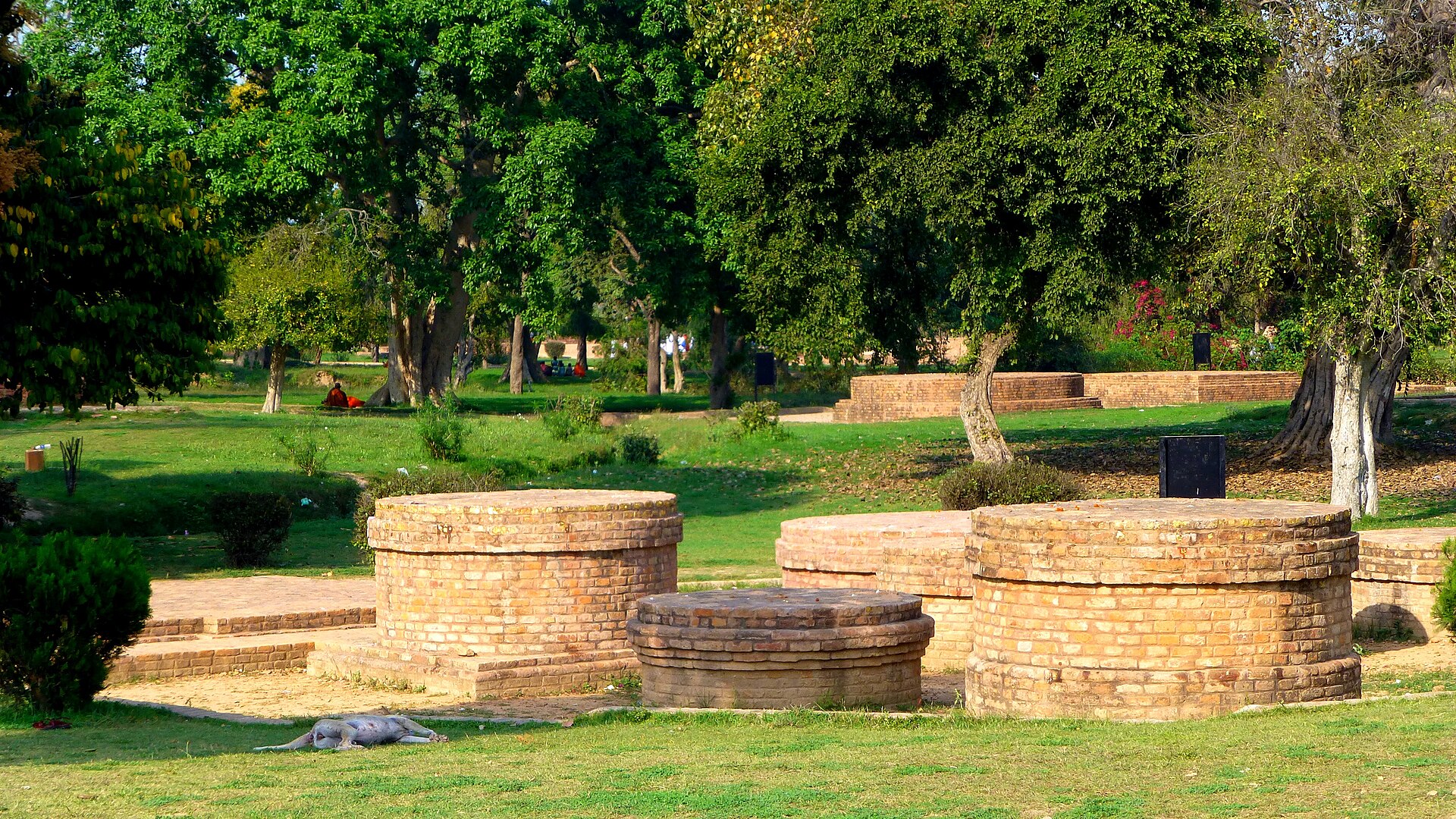 The ruins of Jetavana monastery at Sravasti