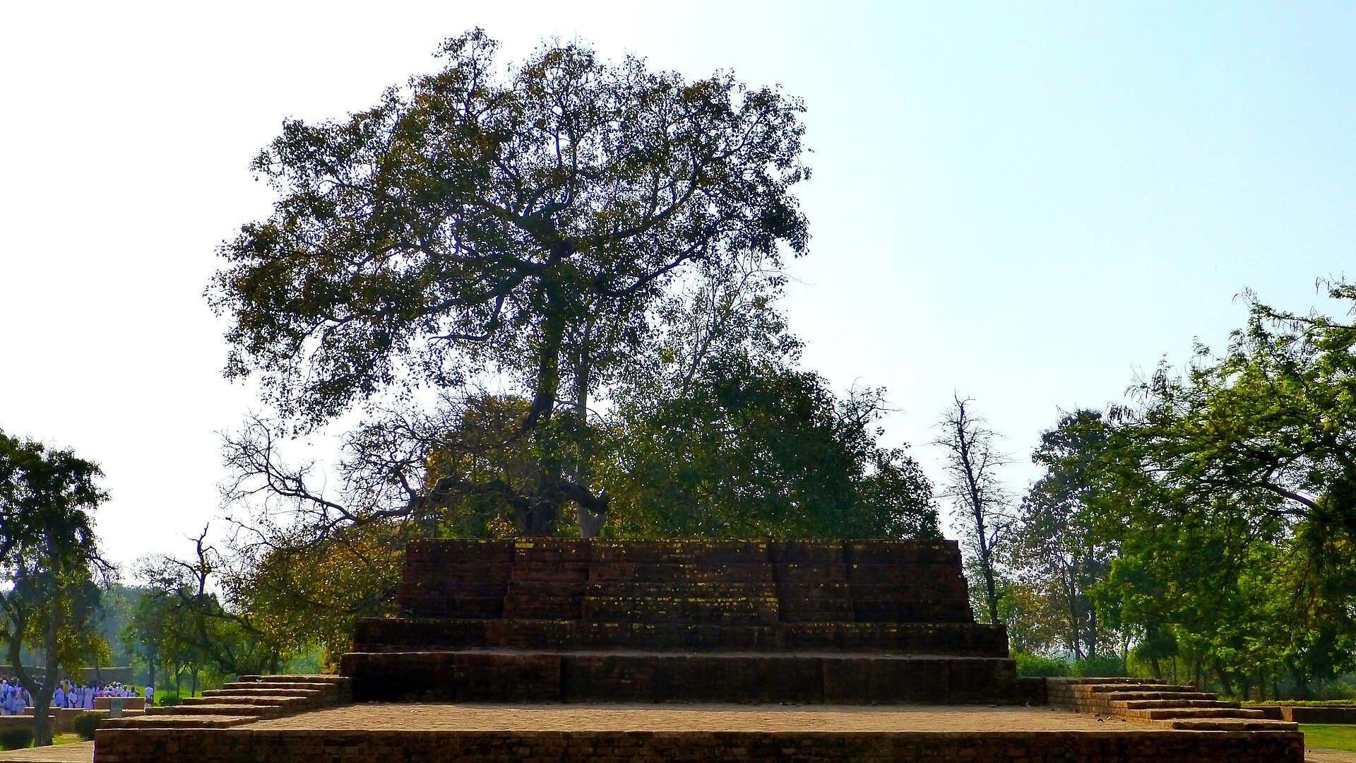 The ruins of Jetavana monastery at Sravasti