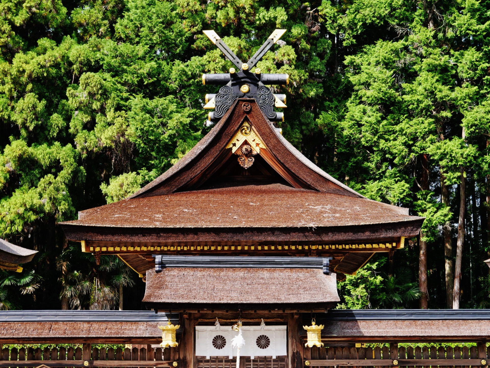 The cypress-bark hall of Hongū with golden finials raised to the sky
