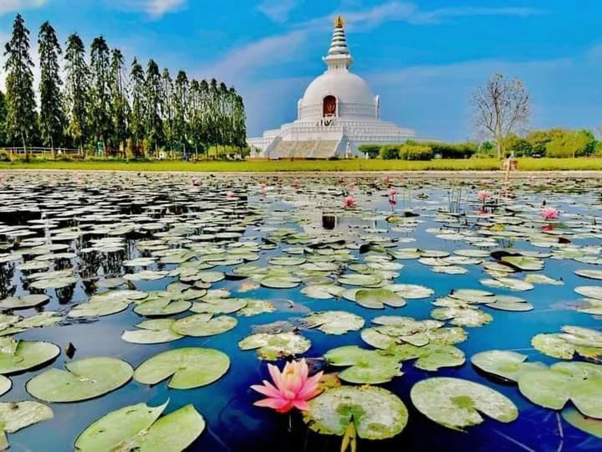 The Maya Devi Temple and sacred garden of Lumbini