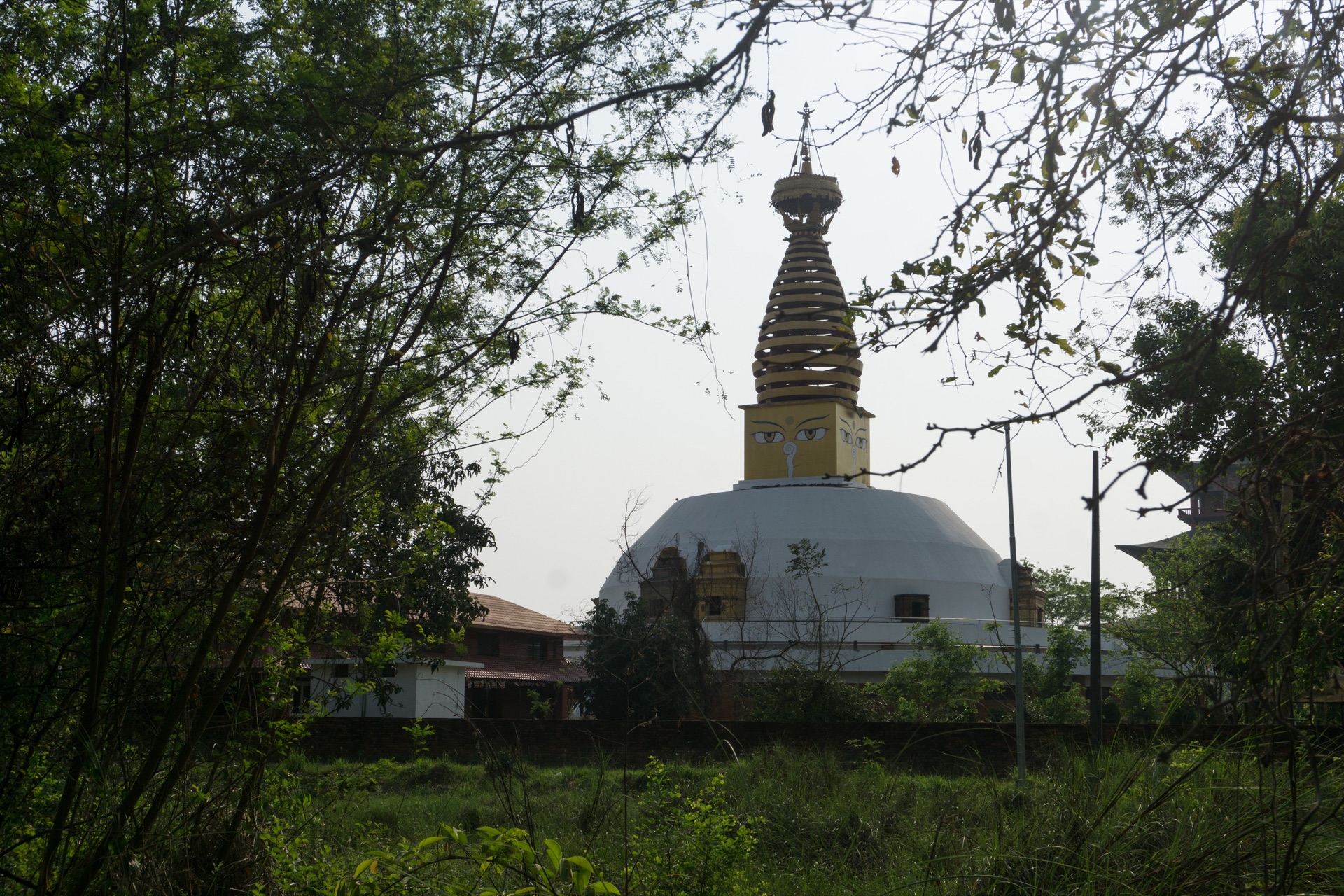 The Dharmodaya Mahachaitya stupa glimpsed through the trees