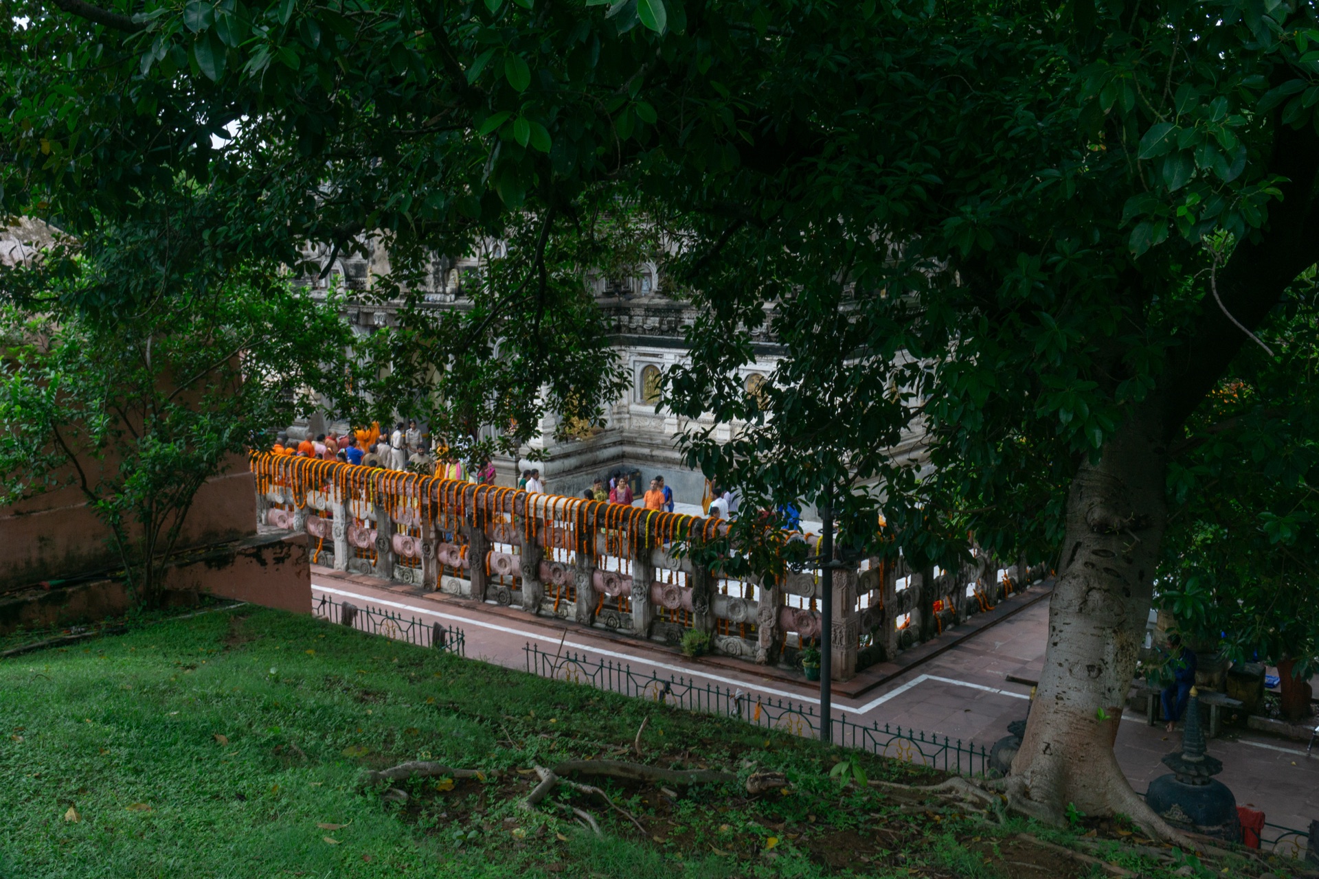 The shade of the Bodhi tree and a railing hung with marigold garlands