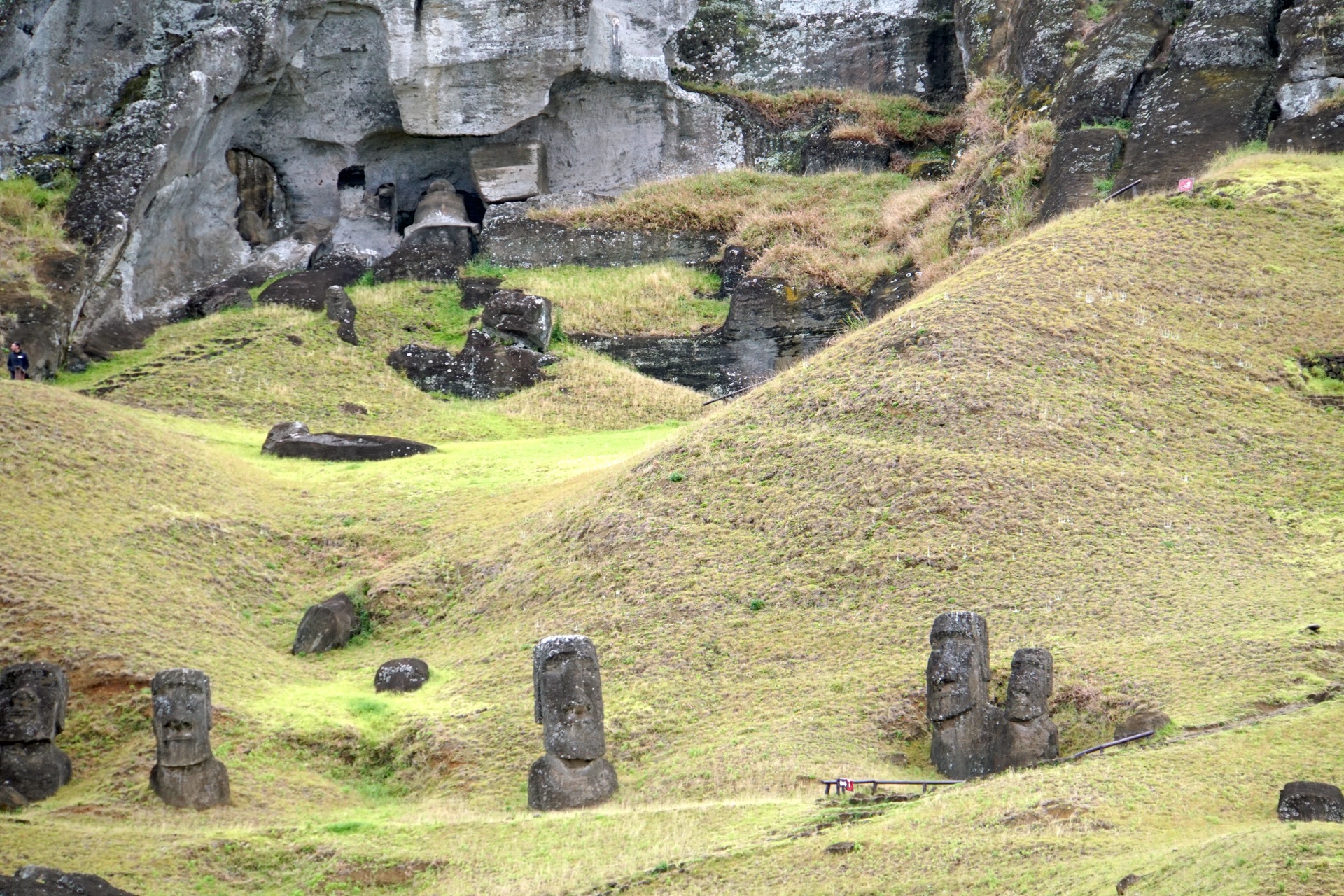 Moai heads buried to the shoulders in the grassy slope of the Rano Raraku quarry