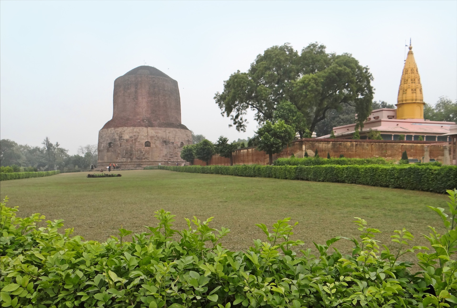 The Dhamek Stupa in morning mist, beside a golden-spired temple