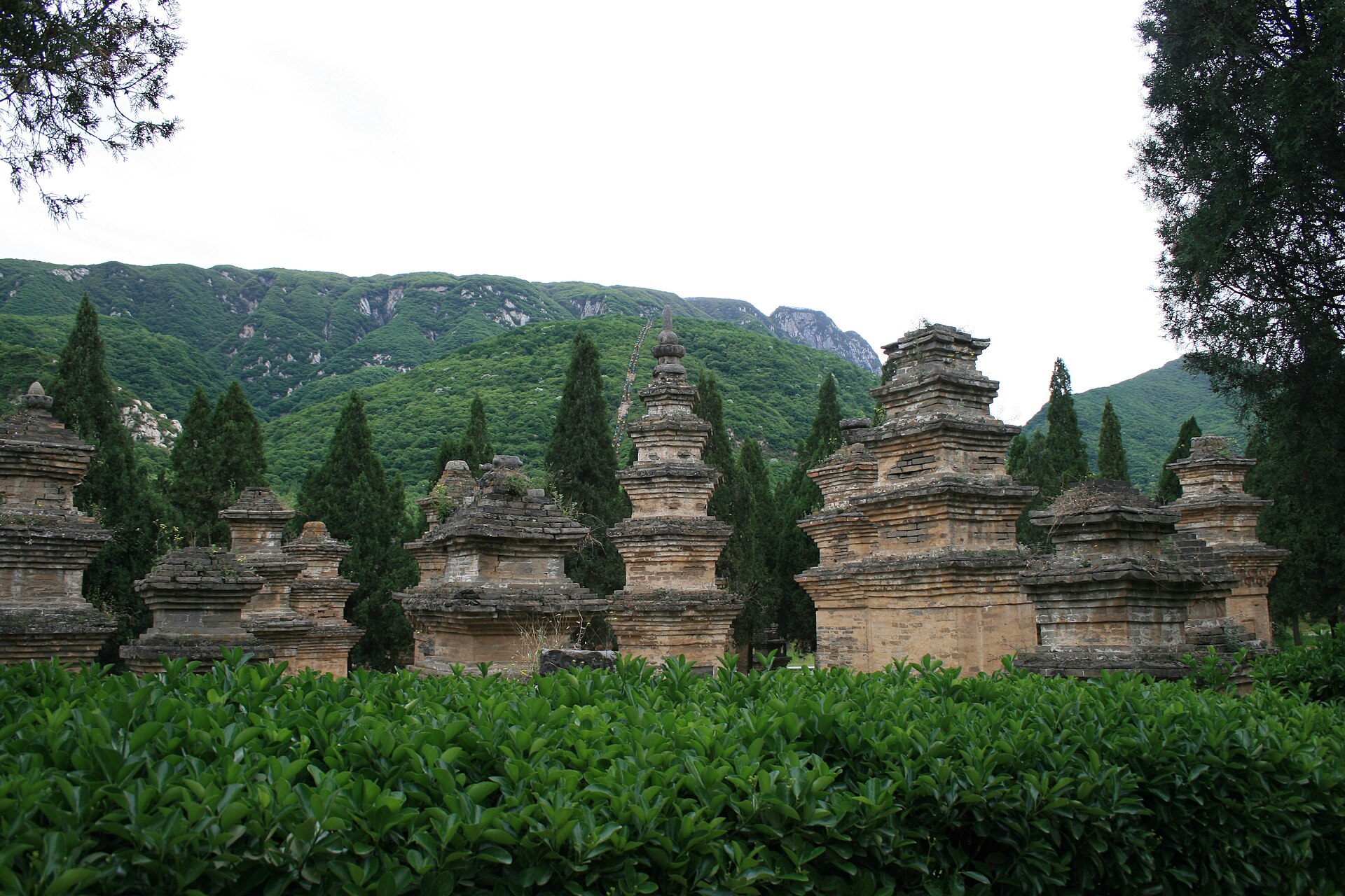 The Pagoda Forest of Shaolin Temple