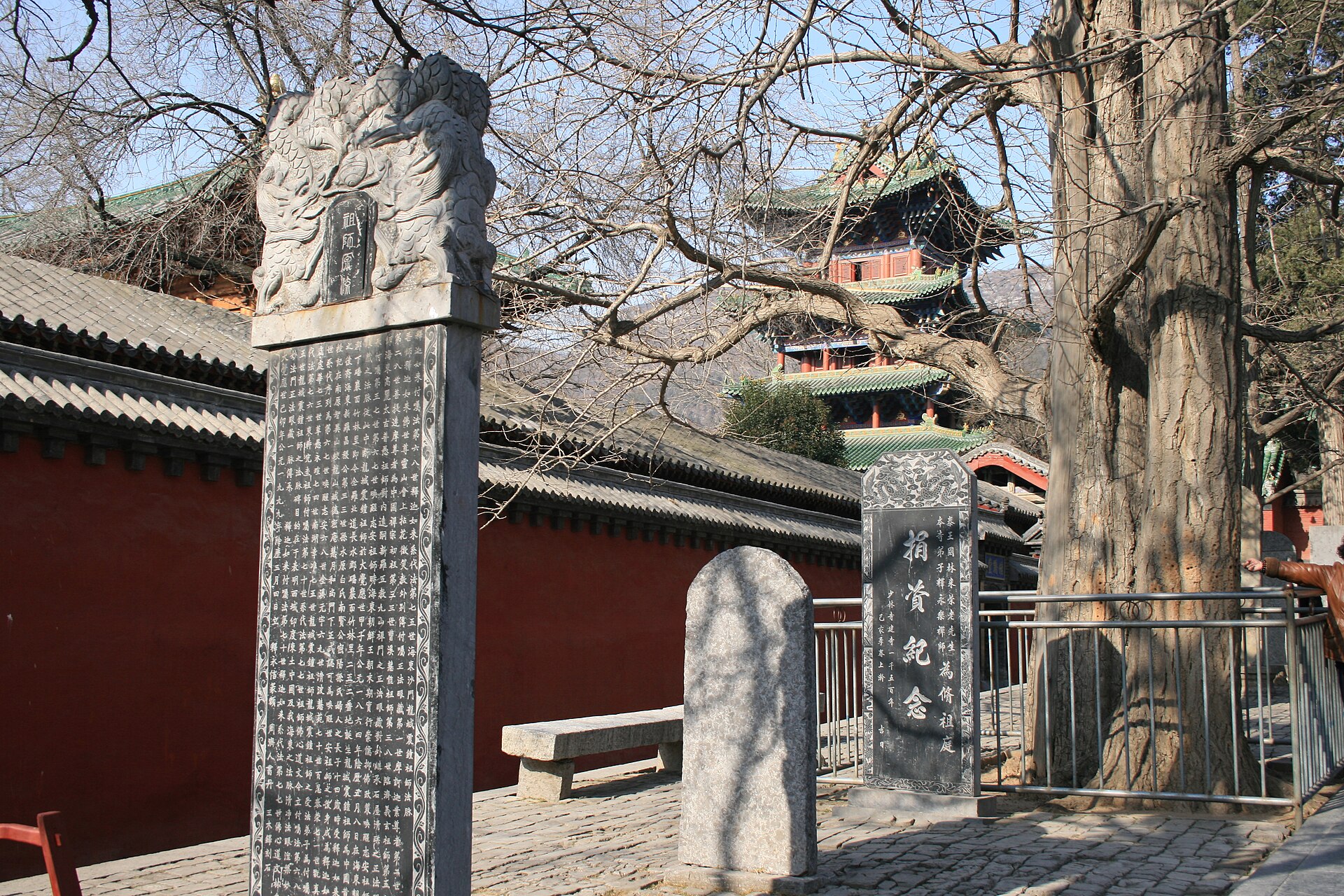 The Forest of Steles at Shaolin Temple