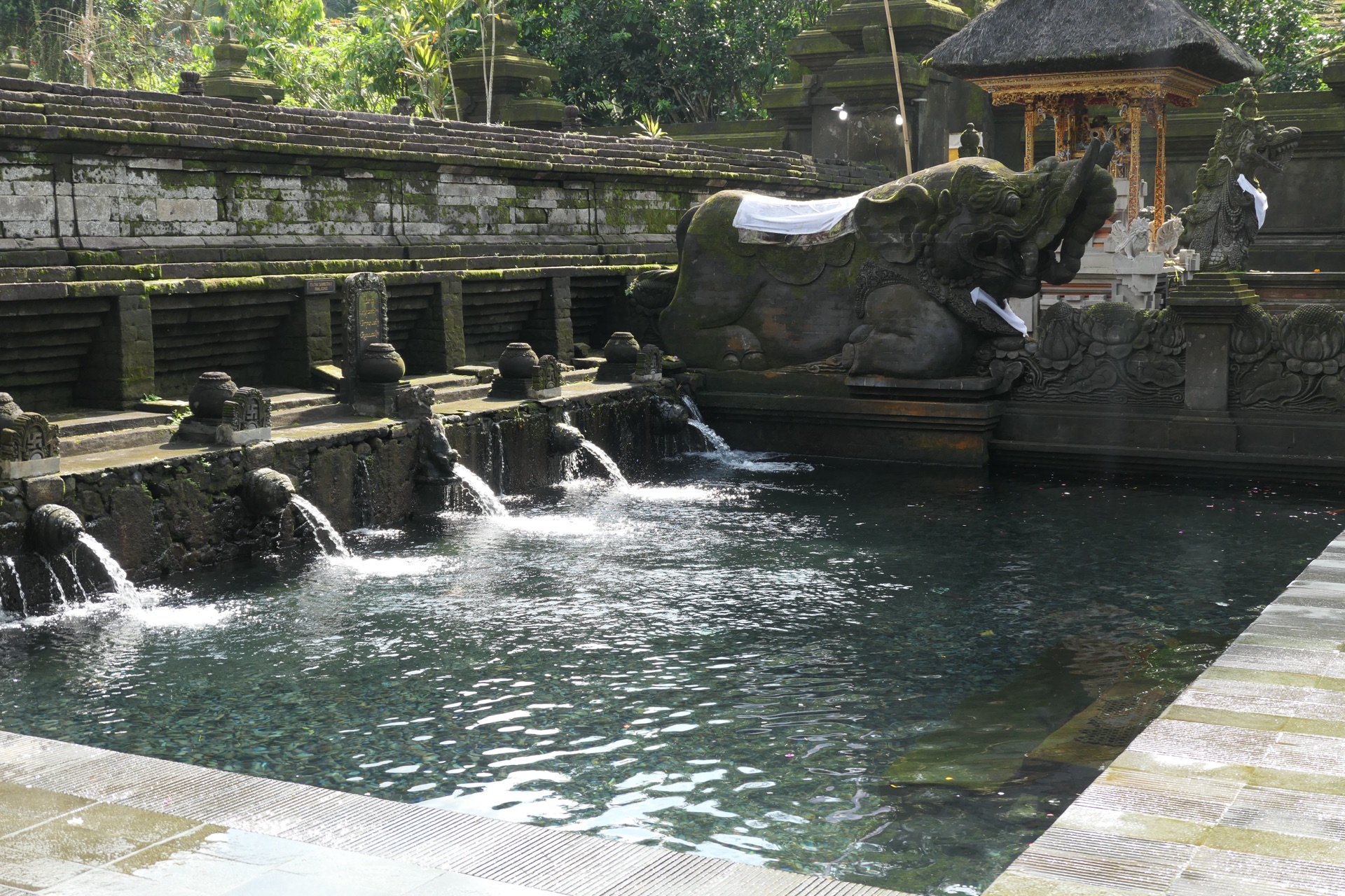 The purification pool at Tirta Empul, holy water pouring from a row of mossy stone spouts