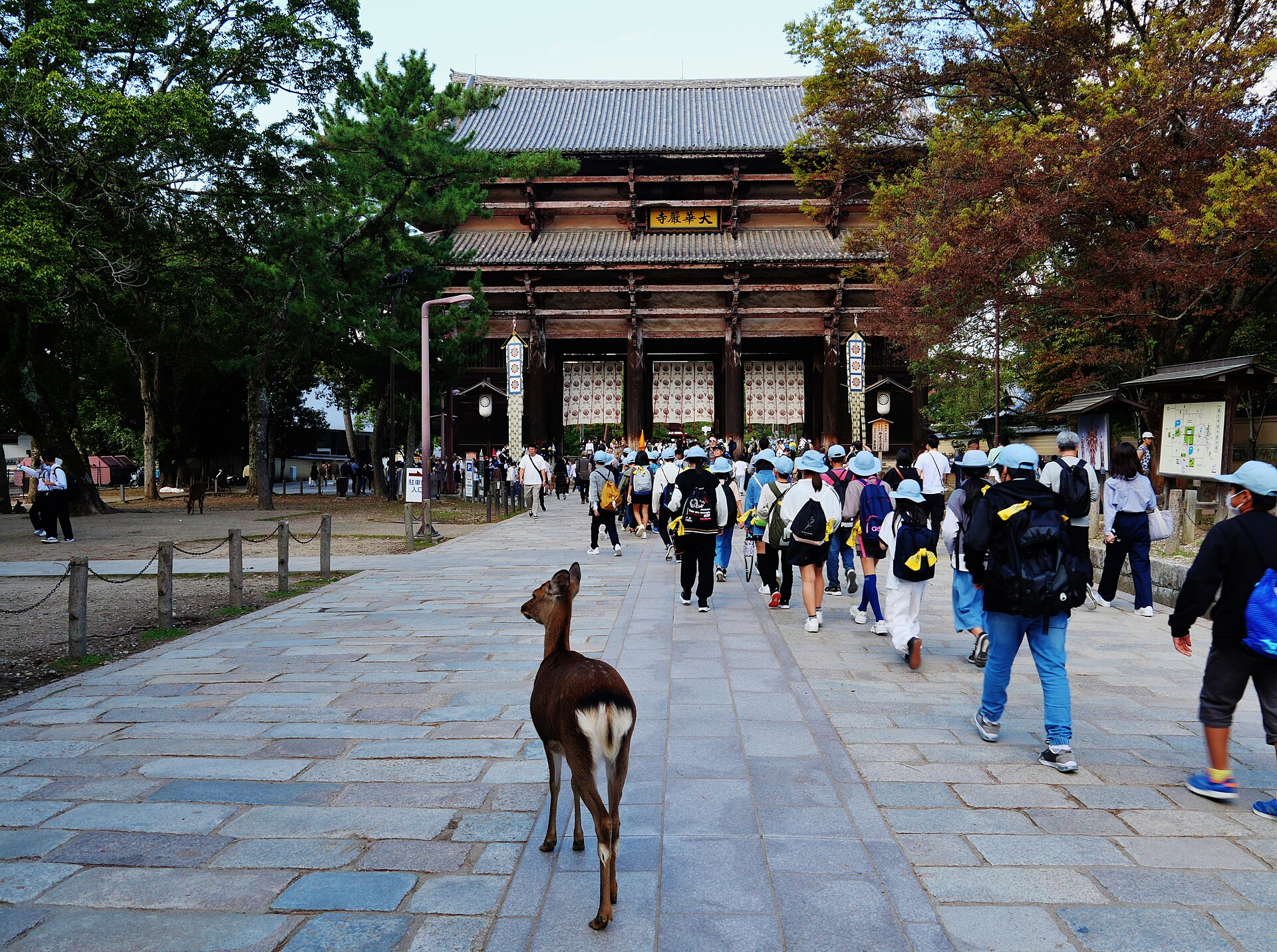 Deer wandering beneath the great wooden gate