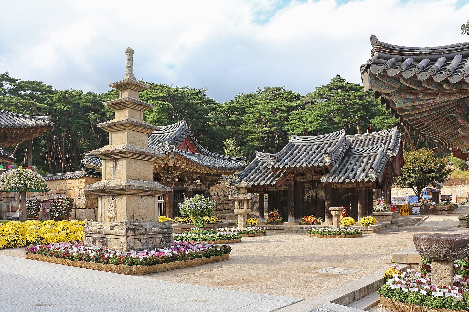 The courtyard of Tongdosa with a stone pagoda, chrysanthemums, and pine forest