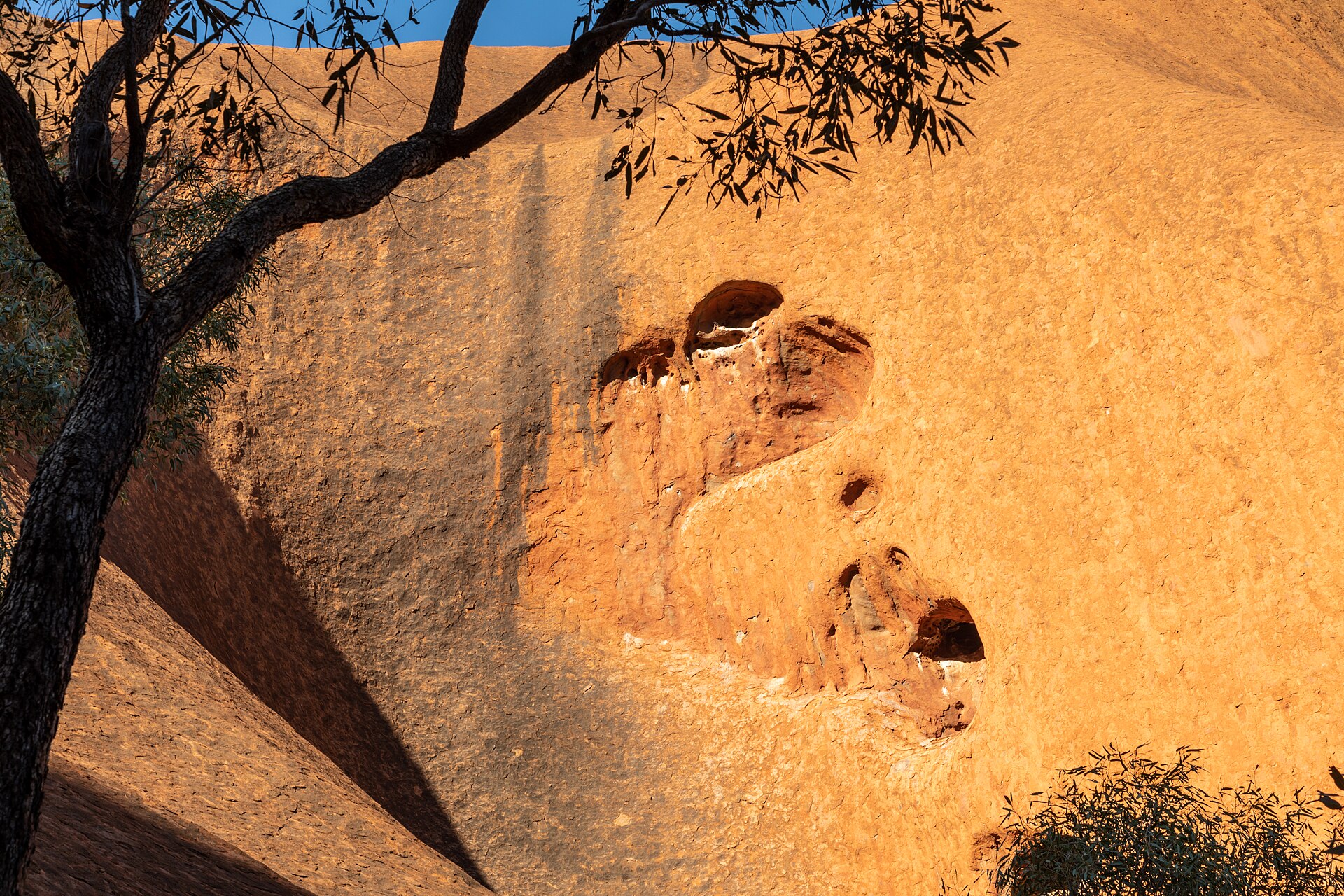 The folds of the rock seen up close