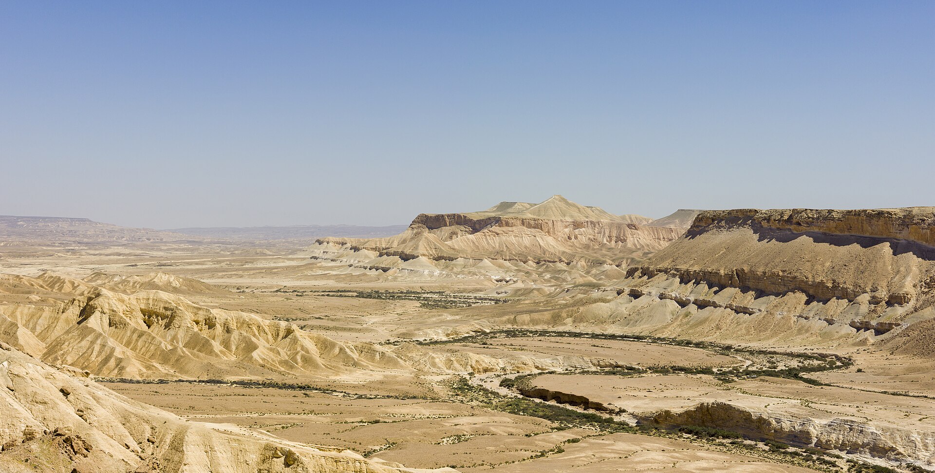 A green valley threading the Negev wilderness beneath layered cliffs